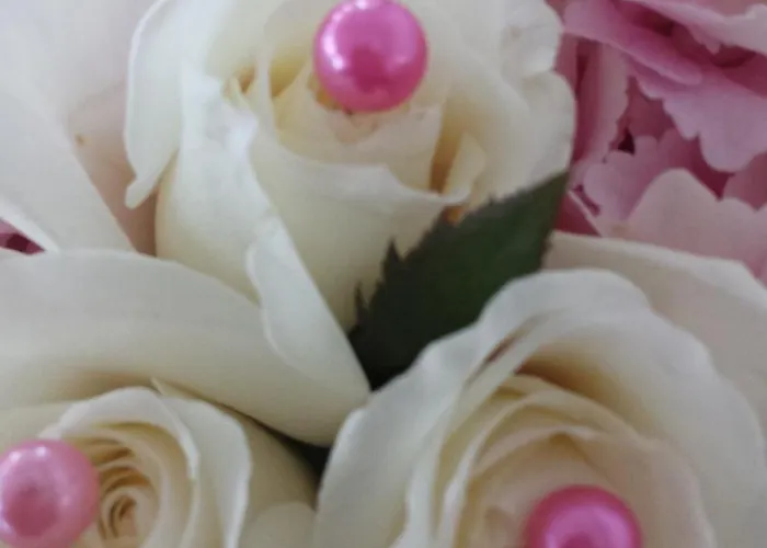 Ξενοδοχείο Massimo Τσέρβια