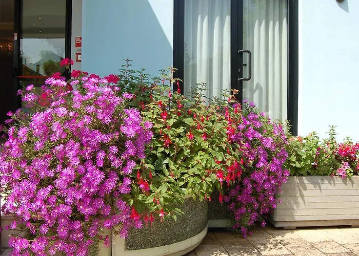 Massimo Червия